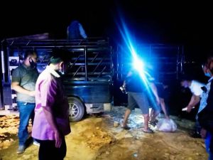 Tengah Malam Al Haris Lihat Potensi Keramba Apung Sungai Batanghari