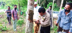Silaturrahmi Bersama Kelompok Tani Karet, Haris: Tata Kelola Harus Dibenahi