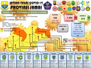 16 Pasien Terkonfirmasi Covid-19, Berikut Datanya 