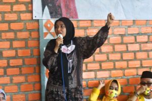 Ratu: Jambi Bisa Swasembada Pangan, Manfaatkan Lahan tidur dan Pastikan Ketersediaan Pupuk