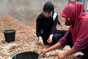 Kunjungi Eksportir Pinang di Tungkal, Ratu Berbaur dengan Karyawan