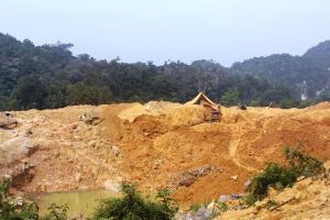 Hutan Desa Lubuk Bedorong Dimasuki Penambang Illegal