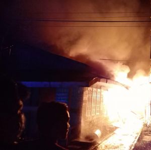 Si Jago Merah Ngamuk di Pemukiman Warga Tungkal 