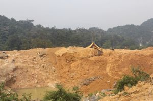 Razia PETI Gagal Tangkap Pelaku, Diduga Informasi Bocor