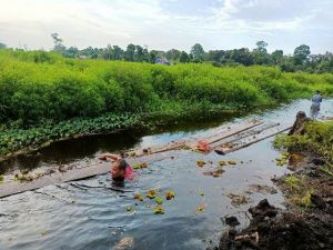 Jalur Darat Sulit Dilalui, Babinsa dan Warga Masuk ke Kanal Bawa Kayu ke Lokasi