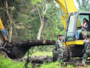 Taklukkan Lahan Gambut untuk Jalur Alat Berat, Satgas TMMD Bariskan Pohon Kelapa