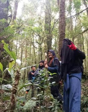 Sempat Hilang di Gunung Masurai, Ini Kronologi Tiga Mahasiswi hingga Ditemukan