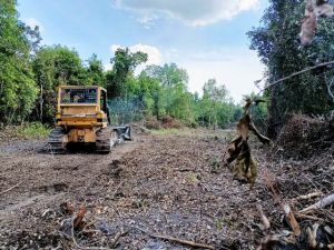 Pembukaan Jalan Baru Lewat Program TMM Sudah 85 Persen
