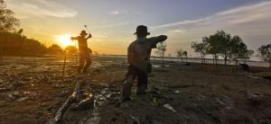 Intruksi Presiden, Kapolres Tanjab Barat AKBP Guntur Pimpin Gerakan Menanam Ribuan Mangrove