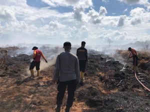 Ditreskrimsus Polda Jambi Usut Kasus Karhutla 90 HA yang Terbakar