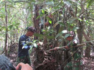 Warga dan Satgas Kembali Masuki Hutan Cari Pohon Untuk Keraskan Jalan