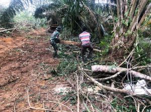 Bersama Warga Mekar Jaya, Satgas TMMD Membersihkan Pohon Tumbang