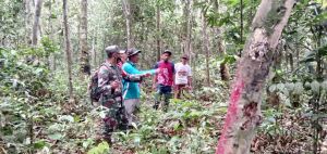 Satgas Bersama Warga Tembus Hutan Survel Lokasi Jalan Penghubung 1,8 KM