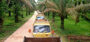 Puluhan Truk Tanah Masuk Ke Sungai Terap Timbun Galar