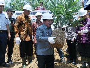 Merangin Terluas Dapat Program Replanting Sawit