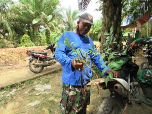 Di Sela Waktu Senggang, Satgas Ini Berburu Tanaman Untuk Dijadikan Bonsai