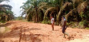 Jalan TMMD Yang Dibangun di Sungai Terap dan Mekar Jaya Sudah 100 Persen