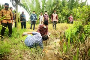Tinjau Lahan Warga Terdampak Banjir di Desa Arah Sialang, Bupati Sampaikan Solusinya