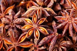 Kandungan Vitamin C dan Pottasium Bunga Lawang Bisa Turunkan Berat Badan