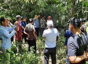 Fokus Prioritas, Wabup Tinjau Lokasi Pembangunan Jembatan Sungai Pengabuan