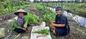 Pangan Desa Gambut di Tangan Perempuan