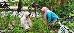 Perempuan Penjaga Kesehatan Warga Desa Gambut