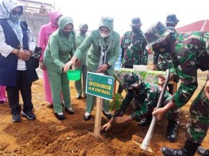 Dukung TMMD, Ketua Persit KCK Koorcab Rem 042/Gapu Tanam Pohon di Desa Bukit Beringin 