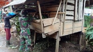 Di Sela Waktu Senggang Satgas TMMD Kodim Sarko Bantu Warga Beri Makan Ternak