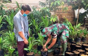 Anggota Sagtas Juga Berbagi Pengalaman Cara Pembibitan Sawit