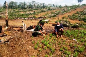 Gunakan Jam Istirahat Anggota Satgas TMMD Kodim Sarko Lakukan Komsos Dengan Petani Sayur
