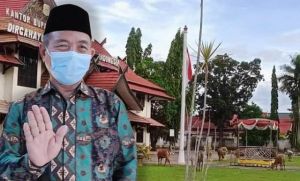 Plt Bupati Merangin Tanggapi Sapi Masuk Kantor, H Mashuri Panggil PLt Kasatpol PP