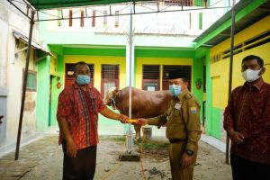 Al Haris Serahkan Hewan Kurban di Mesjid Al Falah dan 1 Sapi dari Presiden ke Masjid Almunawwarah
