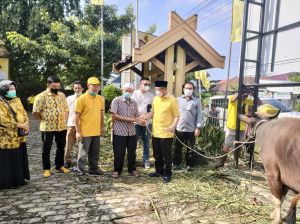 Golkar Jambi Potong 5 Sapi, CE: Semoga Bermanfaat Buat Warga Di Era Pandemi 
