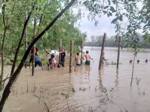 Potensi Desa Wisata Mangrove di Desa Kuala Lagan Kabupaten Tanjung Jabung Timur