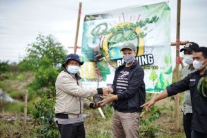 Peringati Hari Kopi, Koperasi Koerintji Barokah Tanam 600 Bibit Pohon di Taman Nasional Kerinci