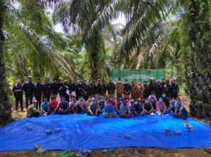 Berdayakan SAD, Mahasiswa UNJA Bangun Dempot Pembibitan Tanaman Kehutanan dan Perkebunan
