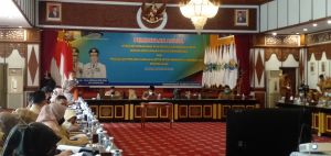 BPKP : Aplikasi Siswaskeudes Permudah Pengawasan Dana Desa