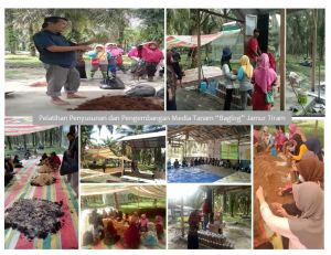 TIM PPM-DLT UNJA: Pelatihan 3 Hari Pengembangan Media Tanam “Baglog” Jamur Tiram Berbasis Sumberdaya
