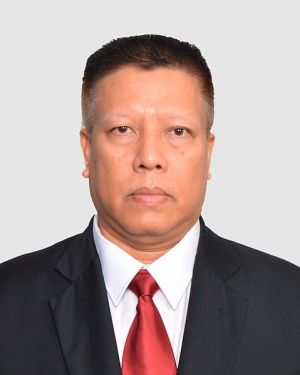 Dubes RI untuk Rumania dan Moldova Akan Hadiri HUT Provinsi Jambi