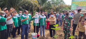 Menjanjikan, Al Haris Dorong Tanaman Porang Jadi Komoditi Unggulan Jambi