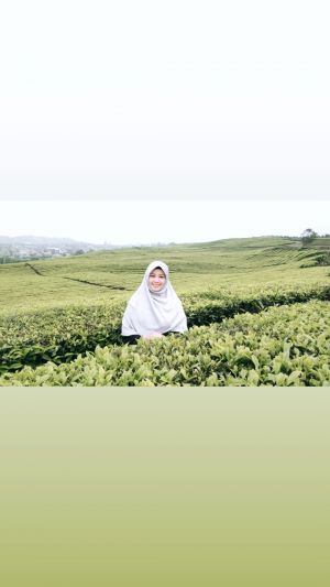 Kedelai Mahal, Fakta Ironis Negeri Agraris
