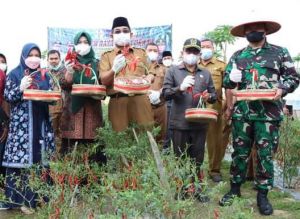 Ketua DPRD Hadiri Panen Raya Cabe di Desa Lubuk Terentang