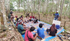 Pendapatan Petani Karet Meningkat Setelah Gabung ke CPP PT RLU