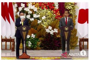 Jepang Dukung Penuh Presidensi G20 Indonesia