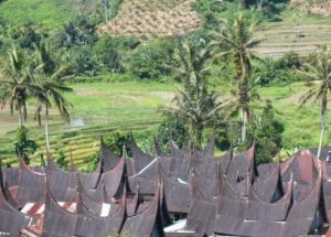 Suku Koto Di Tanah Minang