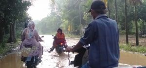 Infrastruktur Jalan Desa Pematang Gajah Muaro Jambi Memprihatinkan