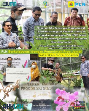PLN Kolaborasi dengan Pemerintah Provinsi Jambi, lestarikan flora endemik