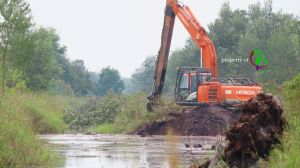 Jambi Tetapkan Status Siaga Karhutla, AILInts Ingatkan Waspadai Kebakaran Lahan Gambut dan Pemulihan