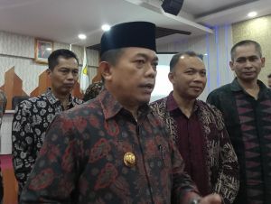 Haris Dorong Adanya Hukum Adat untuk Aktivitas PETI