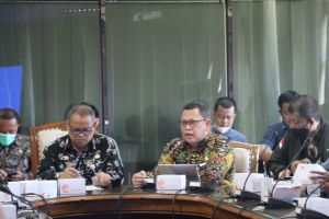 Mendagri Turunkan Tim Beri Pendampingan Terkait Daya Serap APBD 2022 di Jambi